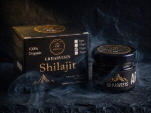 Aftabi Shilajit (Sun-dried) - 5g
