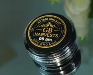 Aftabi Shilajit (Sun-dried) - 5g