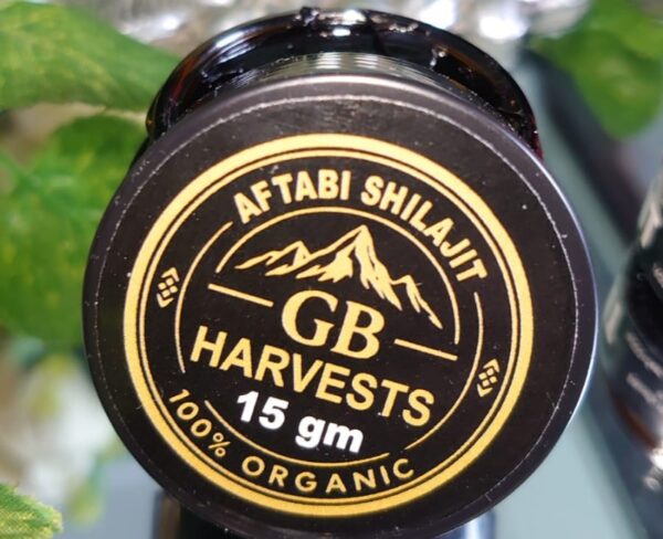 Aftabi Shilajit (Sun-dried) - 15g